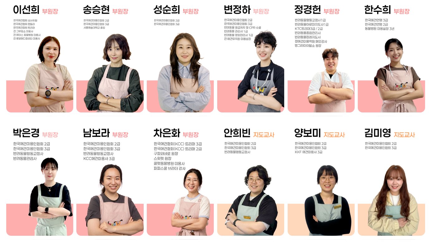 이바우펫 강사진 소개 2 — 부원장 및 지도교사진