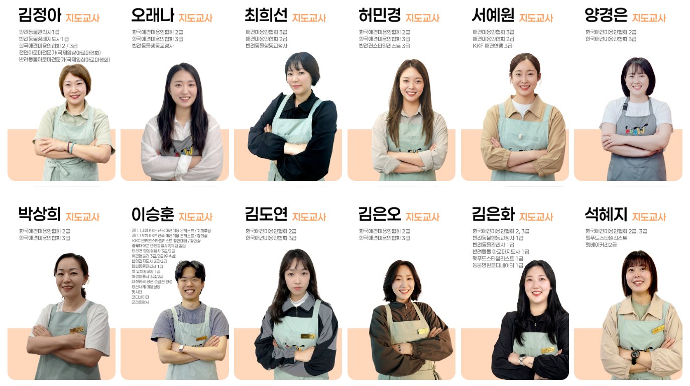 이바우펫 강사진 소개 3 — 지도교사진