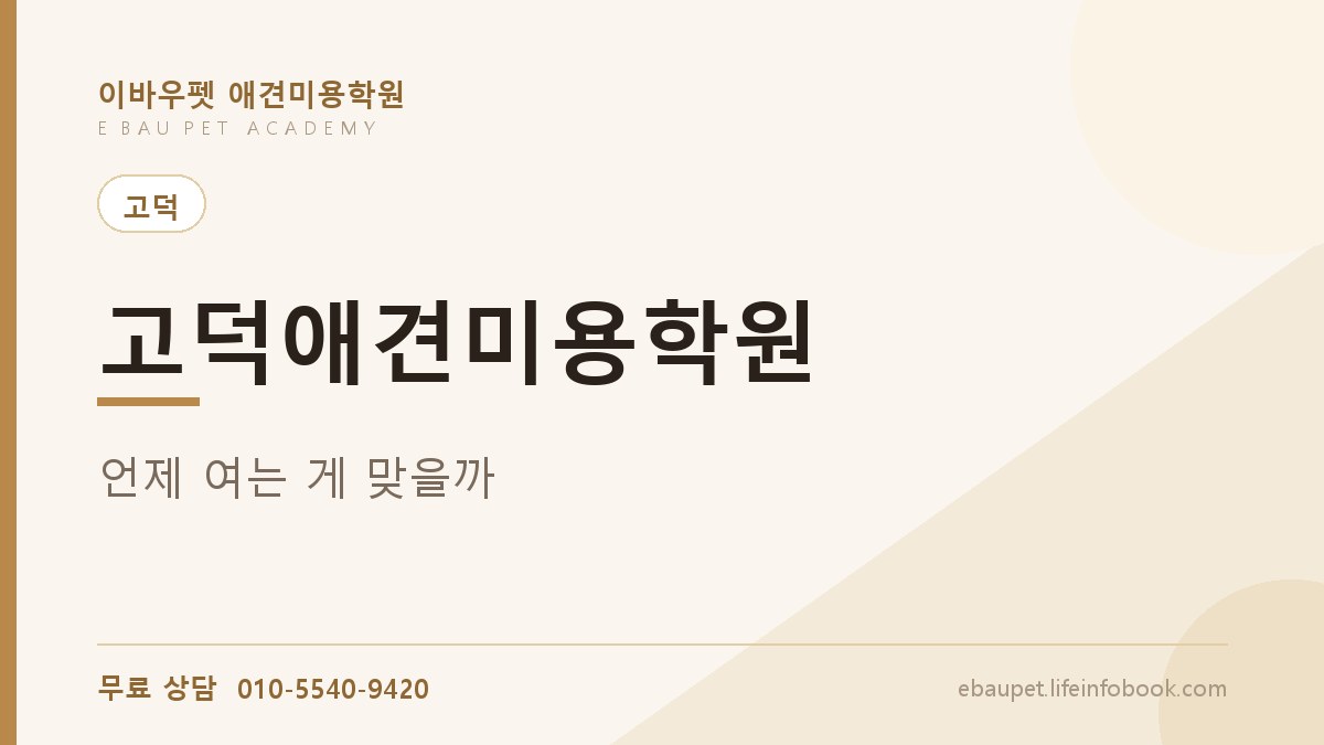 고덕애견미용학원 사람이 계속 들어오는 동네는 언제 여는 게 맞을까