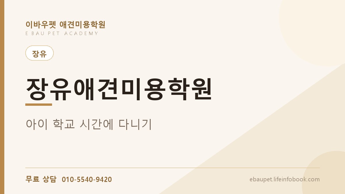 장유애견미용학원 아이 학교 보내고 다녀오면 시간이 될까