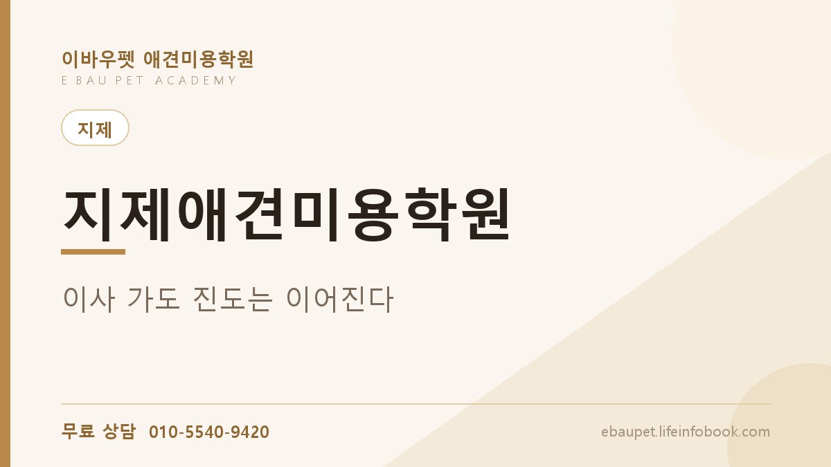 지제애견미용학원 중간에 이사 가면 배우던 건 어떻게 되나