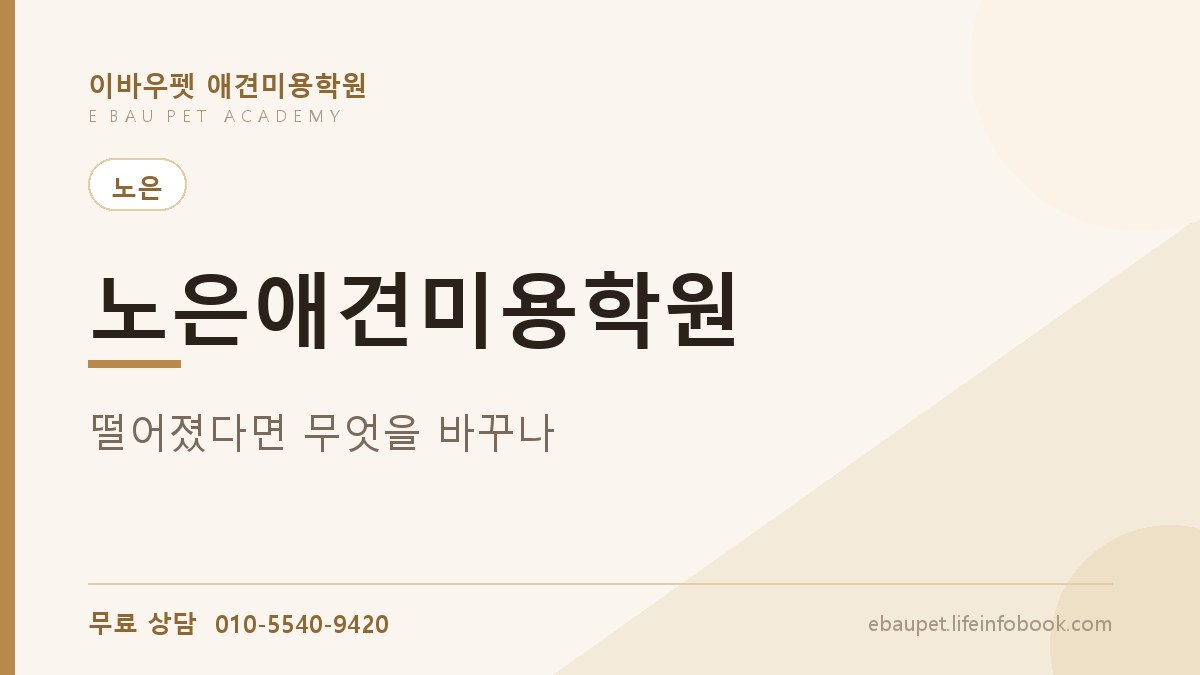 노은애견미용학원 실기에서 떨어졌다면 다음엔 무엇을 바꿔야 할까