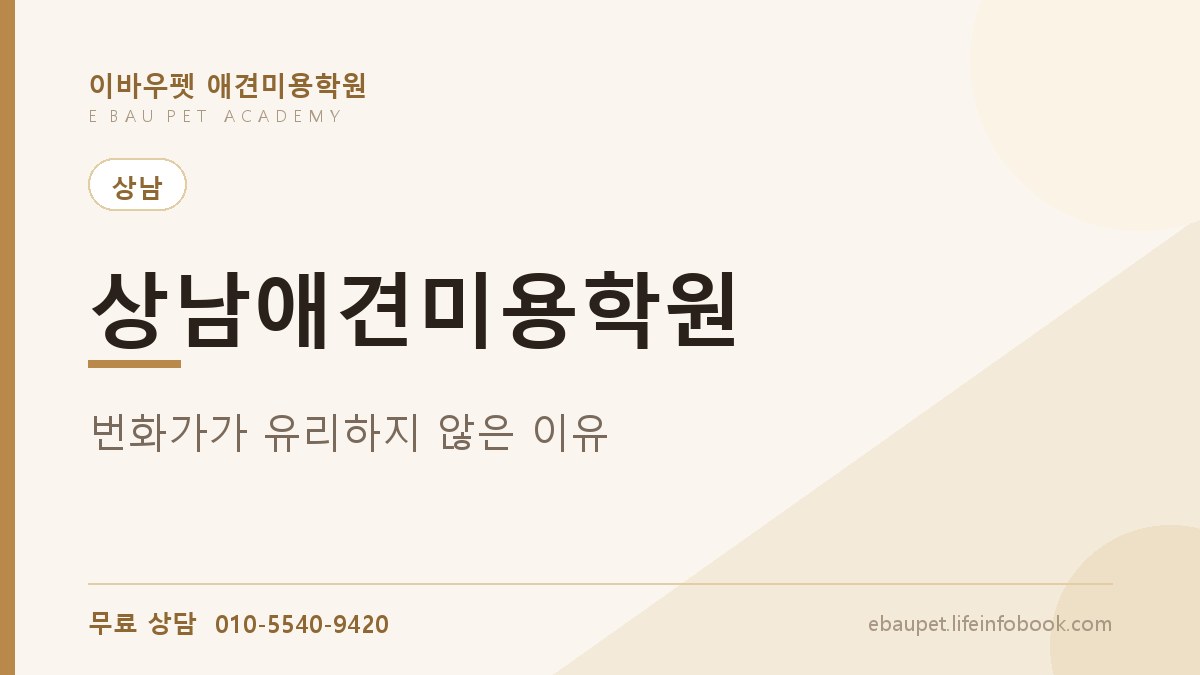 상남애견미용학원 번화가에 열면 손님이 많을 거라는 착각