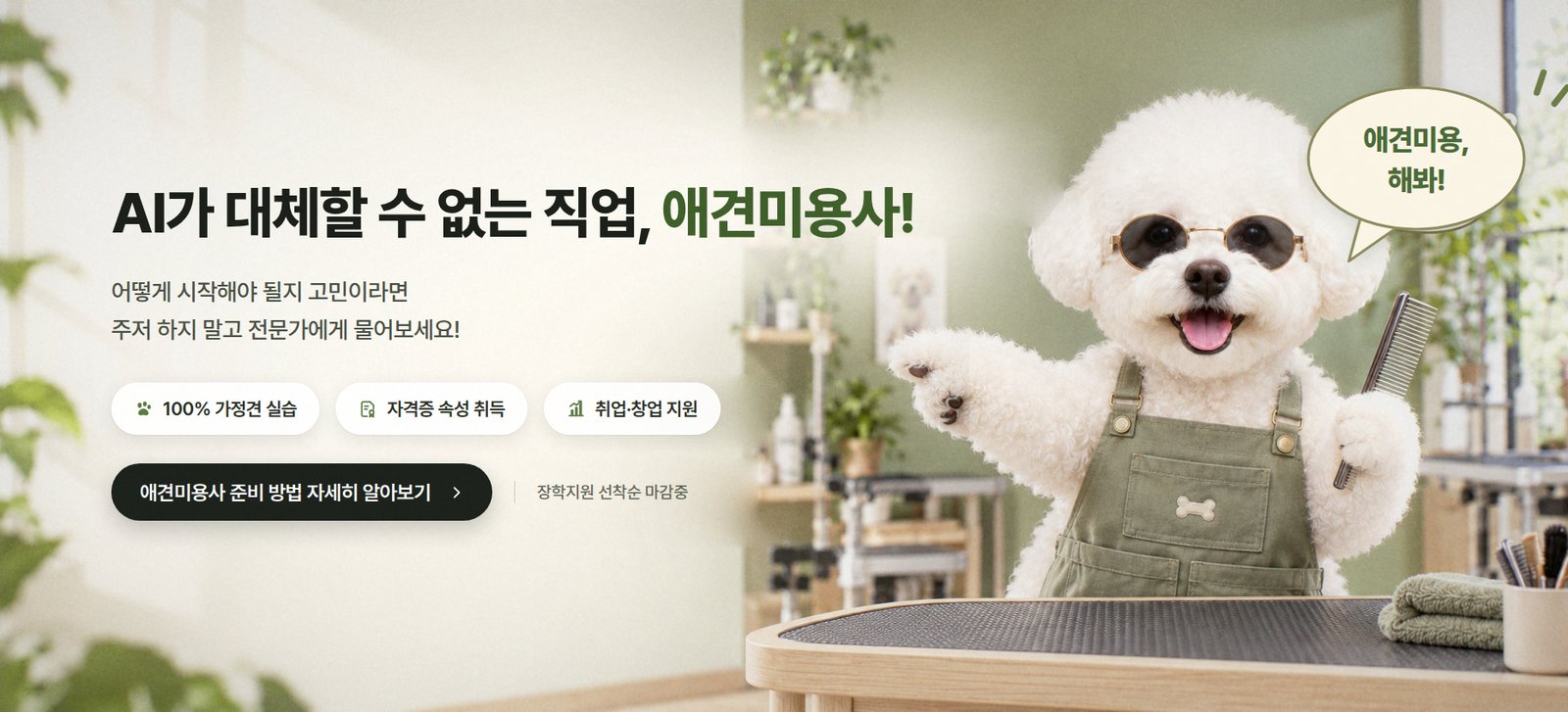 AI가 대체할 수 없는 직업, 애견미용사! 어떻게 시작해야 될지 고민이라면 주저하지 말고 전문가에게 물어보세요. 100% 가정견 실습, 자격증 속성 취득, 취업·창업 지원.