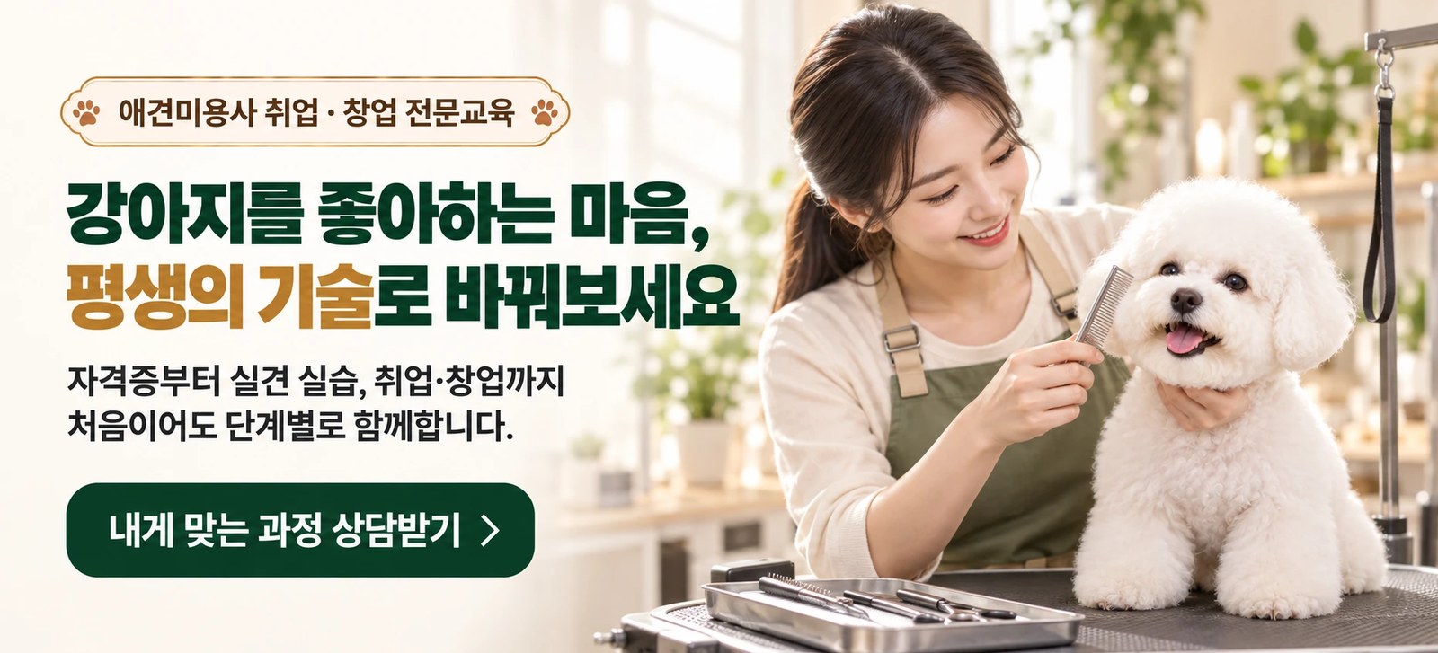 애견미용사 취업·창업 전문교육. 강아지를 좋아하는 마음, 평생의 기술로 바꿔보세요. 자격증부터 실견 실습, 취업·창업까지 처음이어도 단계별로 함께합니다. 내게 맞는 과정 상담받기.